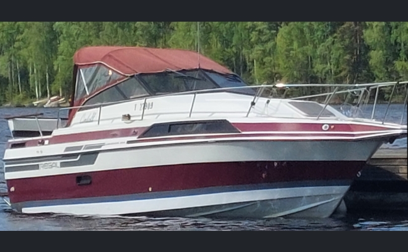 Regal 255XL AMASSADOR-kuva-1